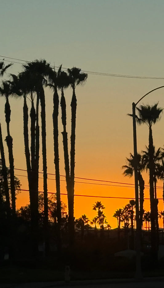 November 25 Playlist